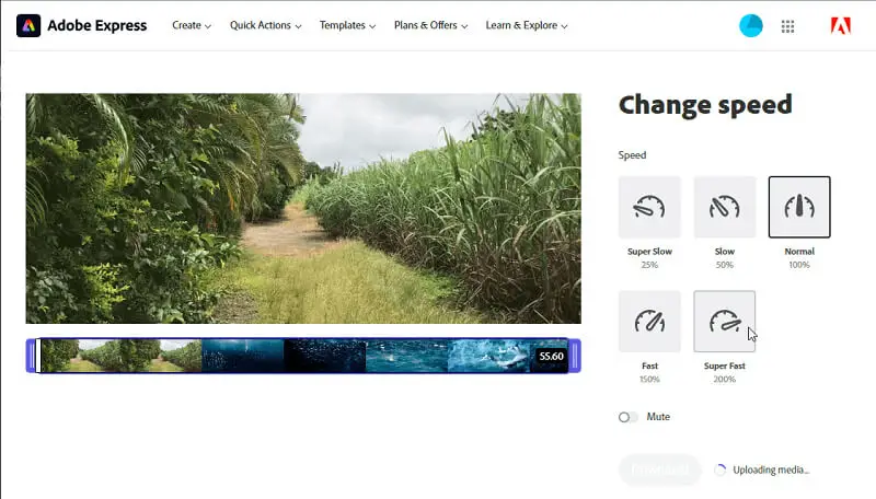 Adobe Express 2